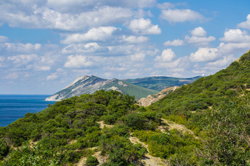 summer mountain landscape view, green grass, blue sky with white clouds and sea background