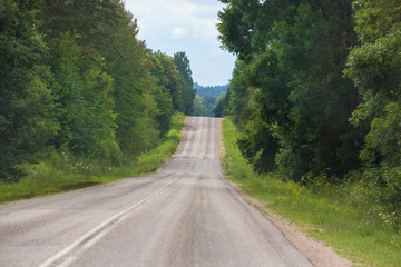 road in the summer forest