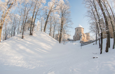 winter in park