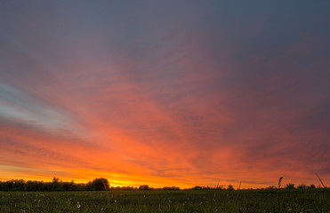 sunset over green field
