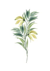 Watercolor floral illustration