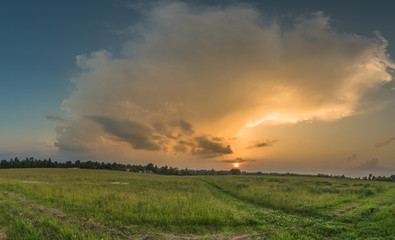sunset over green field
