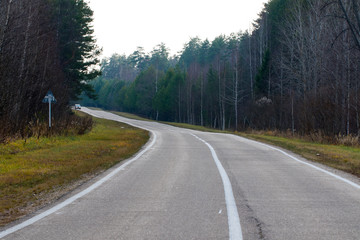 Highway in a dense forest