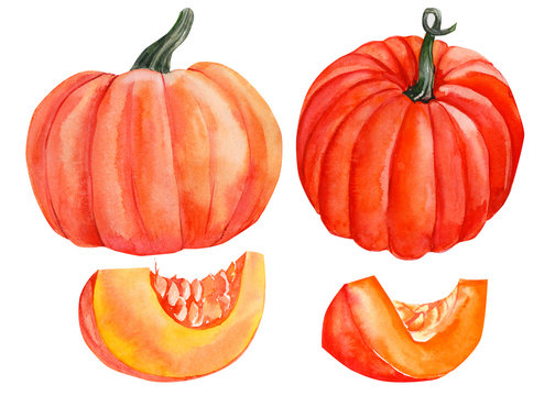 pumpkins on a white background, watercolor