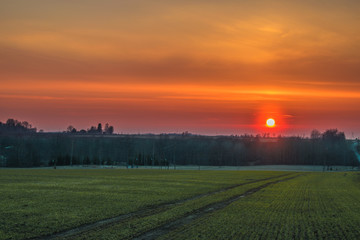 sunset over field