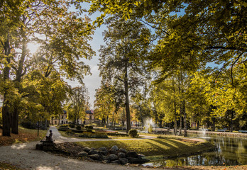 Naklejka premium autumn in the park