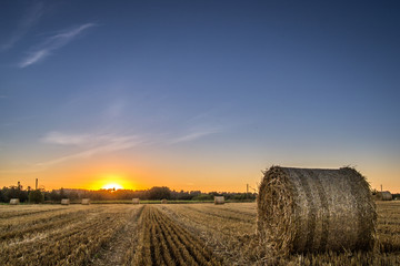 bales of hay in field