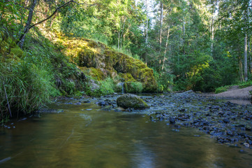 Obraz premium river in forest