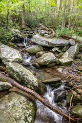 Great Smoky Mountains National Park