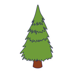 pine tree icon, flat design
