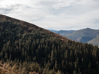 Paisaje de otoño con árboles y montañas en Cantabria, España.