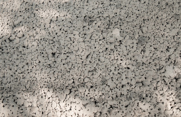 Grey Color cement wall. background texture wall. white gray wall. Beautiful concrete stucco. Abstract shape and have copy space for text.
