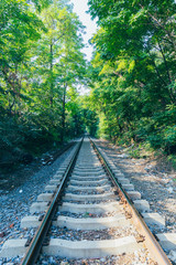 Fototapeta premium Rusty railroad tracks disappearing outdoors in green forest