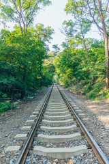 Fototapeta premium Rusty railroad tracks disappearing outdoors in green forest