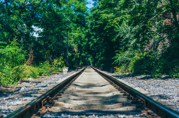 Rusty railroad tracks disappearing outdoors in green forest