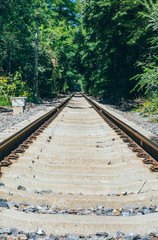 Fototapeta na wymiar Rusty railroad tracks disappearing outdoors in green forest