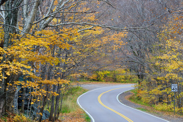 Naklejka na ściany i meble A winding Two lane highway through the autumn scenery of the Vermont Mountains