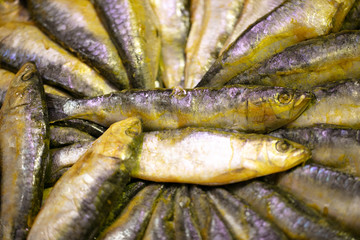 sardinas arencas