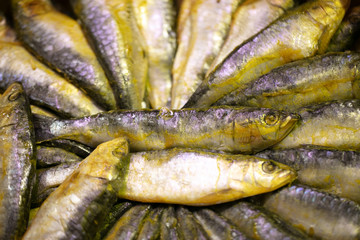 sardinas arencas