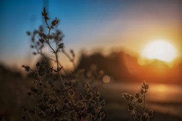 atardecer