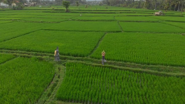 Aerial shot of a woman practicing yoga on a marvelous rice field during sunrise-sunset
