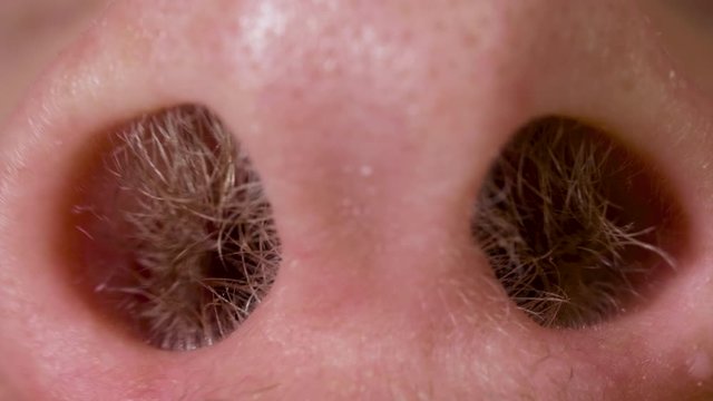 Hairy nostrils and nose of caucasian man close up in macro