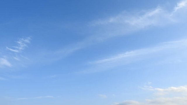 薄雲流れる穏やかな青空。タイムラプス動画。雲、光、風。清々しい。背景素材。鳥も飛んでいきました。