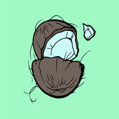 Coconut hand draw illustration. Vector logo isolated on white background,