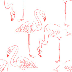 Flamingo hand draw seamless pattern. Vector birds isolated on white background, Digital paper
