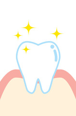 健康な歯と歯ぐきのイラスト　character illustration of healthy tooth and gum
