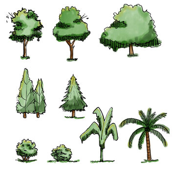 Set of side view sketching trees vector. Architecture tree elevation.