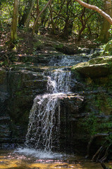 waterfall in the forest