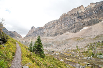 Fototapeta premium Hiking at Lake O’Hara area in Yoho national park