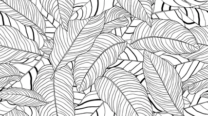 Poster Foliage seamless pattern, leaves line art ink drawing in black and white © momosama