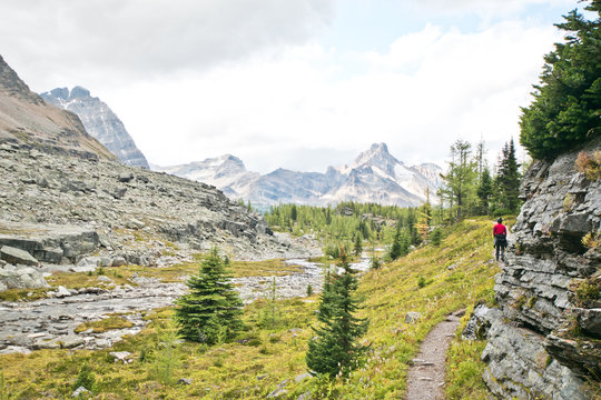 Hiking at Lake O&rsquo;Hara area in Yoho national park