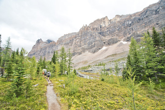 Hiking at Lake O&rsquo;Hara area in Yoho national park