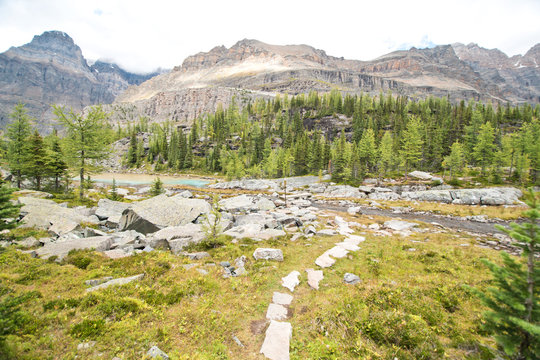 Hiking at Lake O&rsquo;Hara area in Yoho national park