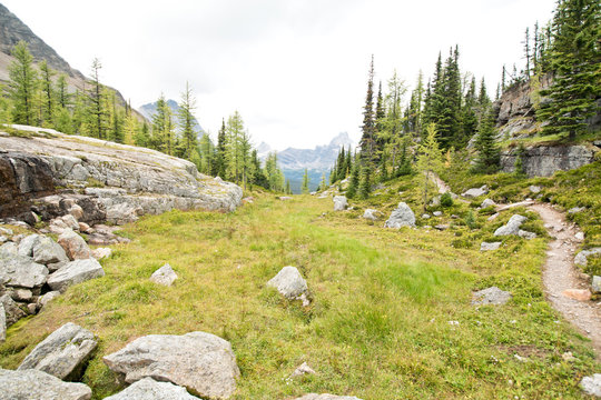 Hiking at Lake O&rsquo;Hara area in Yoho national park