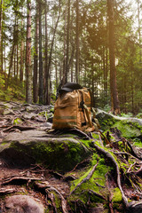 Hiking backpack with cap in forest, vertical orientation.