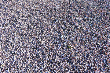 Seashells Beach