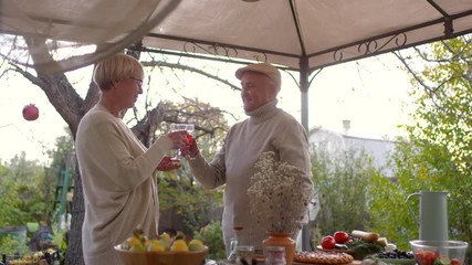 Medium arc shot of senior Caucasian husband standing next to table with seasonal fruit and vegetables under garden gazebo, giving wife glass of homemade red wine, toasting each other and hugging