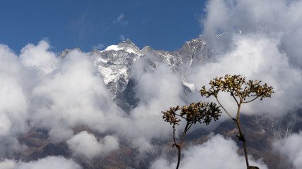 Nepal, Annapurna. Mardi Himal trek.