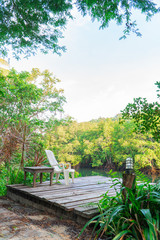 Fototapeta na wymiar Beautiful view of lake and mangrove forest.