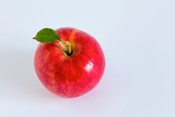 新世界という名の赤いリンゴ