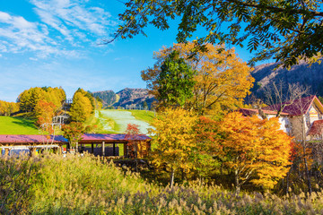 丸沼高原スキー場の秋