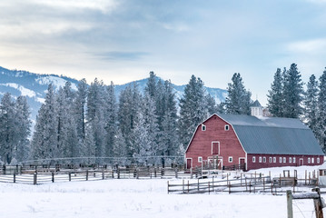 Old Red Barn at the Edge of an Evergreen Forest - Methow Valley, Washington, USA (Winter) 