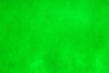 This is a photograph of a Vibrant Green textured backdrop