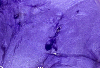 This is a photograph of a Blue holographic shiny background