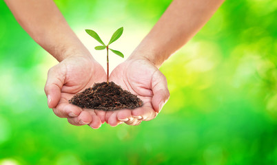 Naklejka na ściany i meble Hands holding small tree with soil on blurred light green background, World Environment Day Concept
