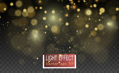 Vector Gold Sparkles, magic, bright light effect on a transparent background. Gold dust.